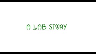 “A Lab Story” (2024)