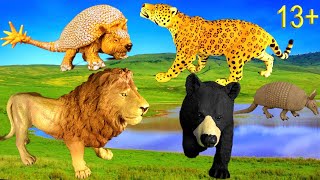 Big Cat Week 2020 - Zoo Animals - Lion, Black Bear, Jaguar, White Lion, Armadillo, Doedicurus 13+