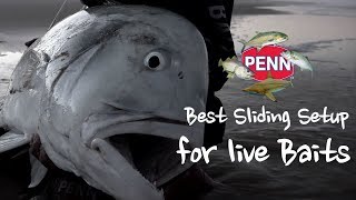 Best Slide Setup for Live Baits