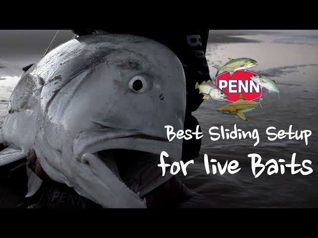 Best Slide Setup for Live Baits 