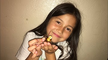 Mini verse “mini root beer float”