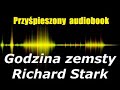 Godzina zemsty - Richard Stark | AudiobookPL