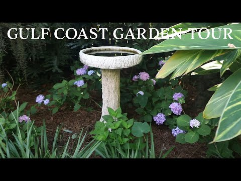 Gulf Coast Plant