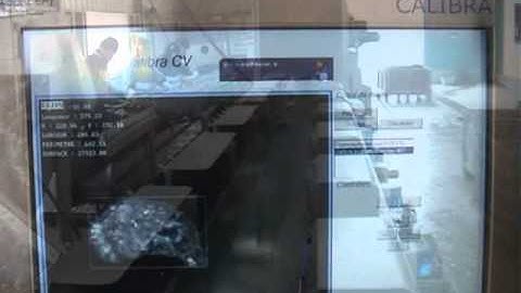 Cube Seafood - Oyster Video Grader