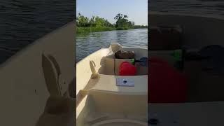 Sundolphin American 12 2.5 Suzuki outboard