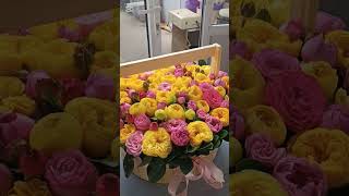 видео: Юнусобод гул бозори...🍁🌹🌷🌼🌸🌺#newvideo #ташкент #flowers #life #nature #like #plants #цветочныйбизнес картинка: Юнусобод гул бозори...🍁🌹🌷🌼🌸🌺#newvideo #ташкент #flowers #life #nature #like #plants #цветочныйбизнес