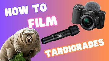 Can you use a camera to see TARDIGRADES?