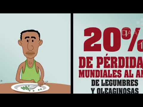 universidad de la laguna derecho Idéalo19 CPEIPS Hispano Inglés Taste the flavour