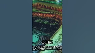 ما تيسر من سورة #النمل للقارئ الشيخ #سعود_الشريم