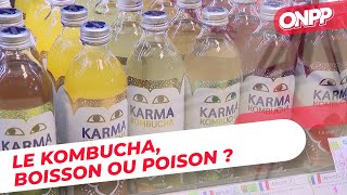 Le Kombucha, boisson miracle ou toxique ?  On n'est pas des Pigeons