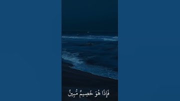 اكتب شي تؤجر عليه 🤍 #قران_كريم #تلاوة_خاشعة