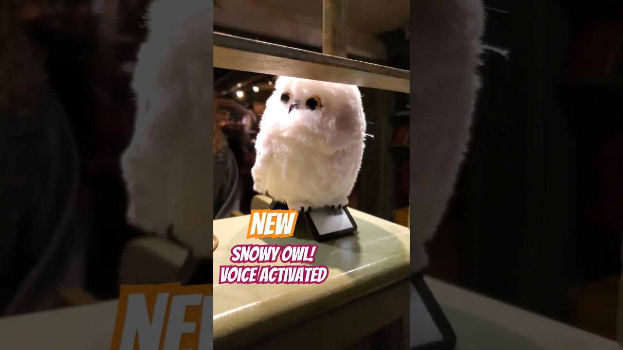 NEW OWL AT UNIVERSAL STUDIOS HOLLYWOOD 55 UniversalStudios HarryPotter Owl Toy Shorts Magic