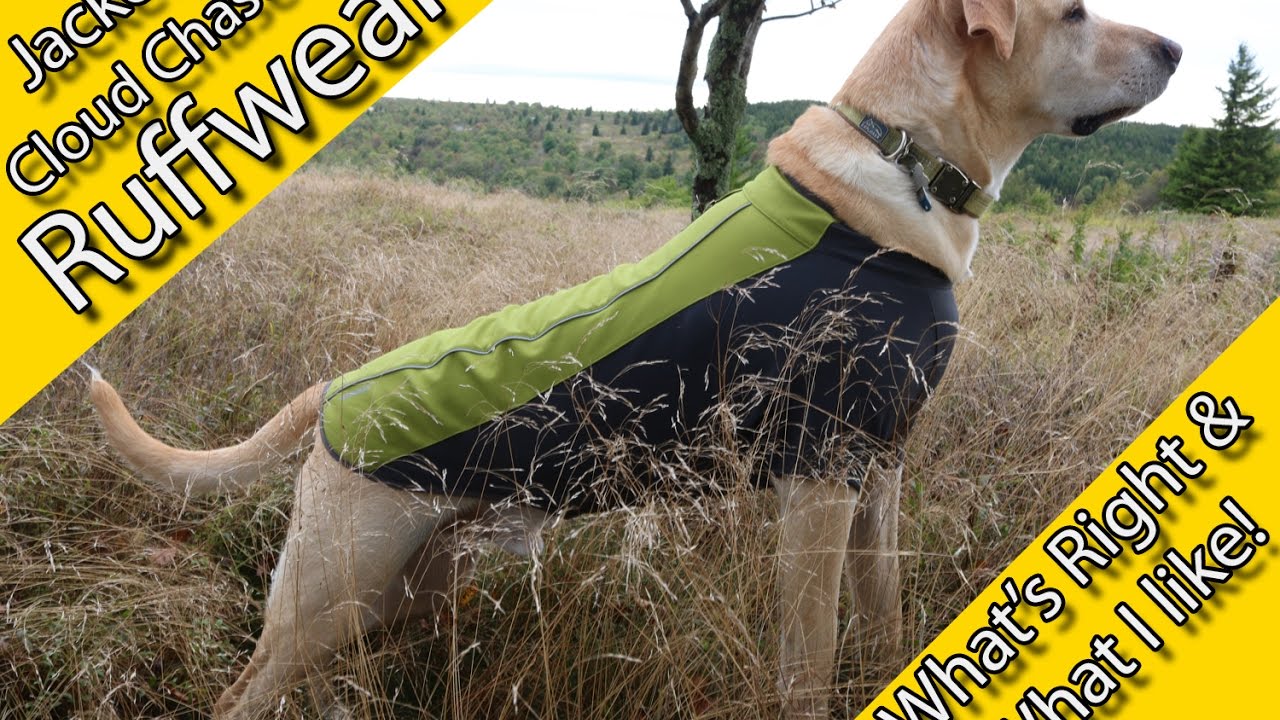 ruffwear cloud chaser