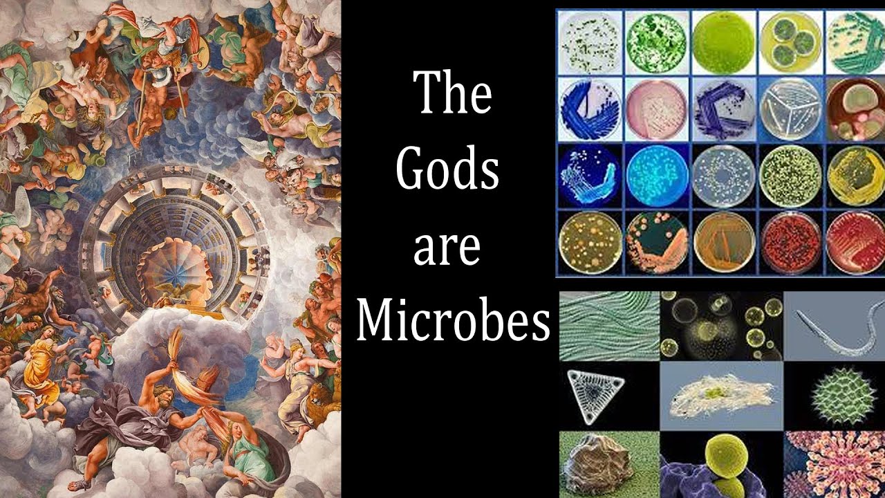 The gods are microorganisms youtube