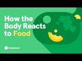 Understanding the Impact of Food on Physical and Mental Well-being