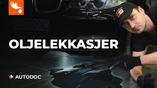 Vedlikeholdstips - BMW 5 Touring (E39) 525i 2.5 Klosser reparasjonshåndbok