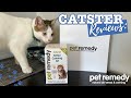 Pet Remedy Kitten Calming Kit Review 2024