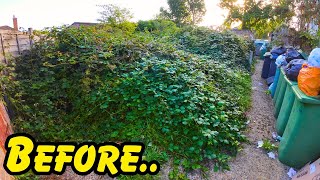 Would You Tackle This GARDEN?! Rats, Rubbish & Overflowing Brambles..