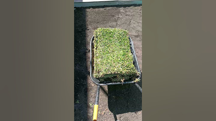 PREPARAR TERRENO PARA PLANTAR GRAMA