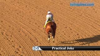Information Practical Joke gallops 4.25 Guide