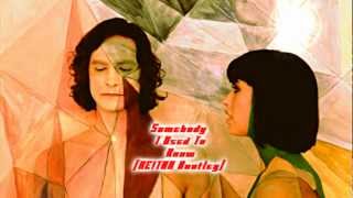 Gotye feat. Kimbra - Somebody I Used To Know (NE!TAN Bootleg)