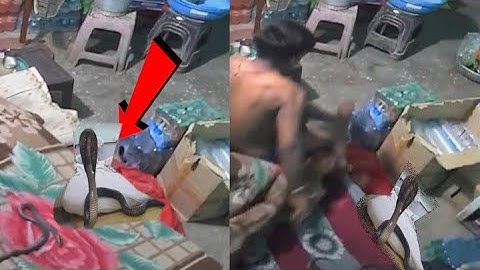 Cobra Snake bites sleeping man twice in India