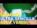 ULTRA SENCILLA FORMA DE TRATAR EL AGUA VERDE | 2022