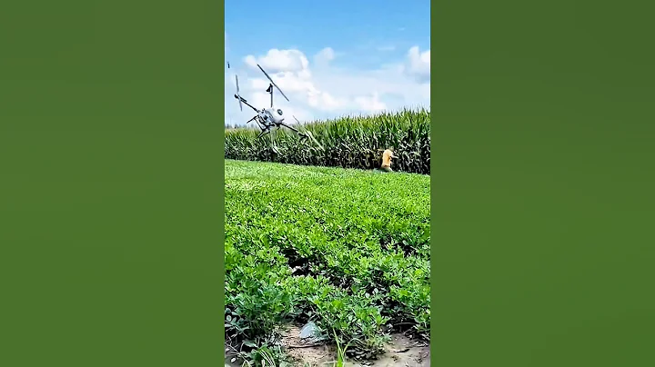 Drone Down! Farmer Mistakes Sprayer for Flying Monster!