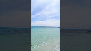 🌊☀️ #sealovers #naturelover #sealife  #shortvideo #shorts #shortsvideo