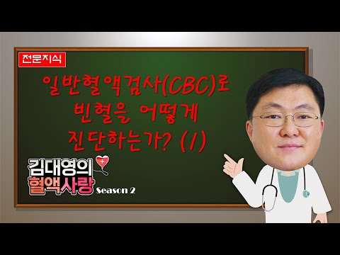 [김대영의 혈액사랑] 전문지식: 일반혈액검사(CBC)로 빈혈을 어떻게 진단하는가?(1)