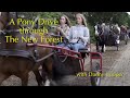 Danny Cooper's 2020 New Forest Pony and Horse Drive - Jack’s Country
