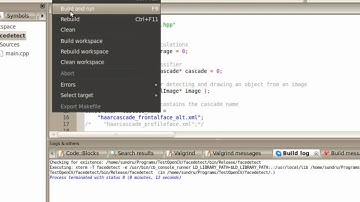 OpenCV Fast face detection Viola Jones