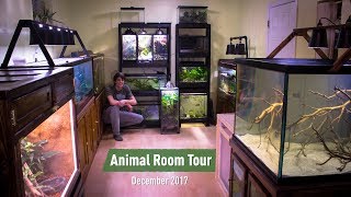 Animal Room Tour Dec. 2017 (70+ Animals) - Updates & Sneak Peeks Animal Room Tour Dec. 2017 (70+ Animals) - Updates & Sneak Peeks
