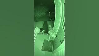 Amazing Part 419 full https://youtu.be/4ka6NUgz29Y