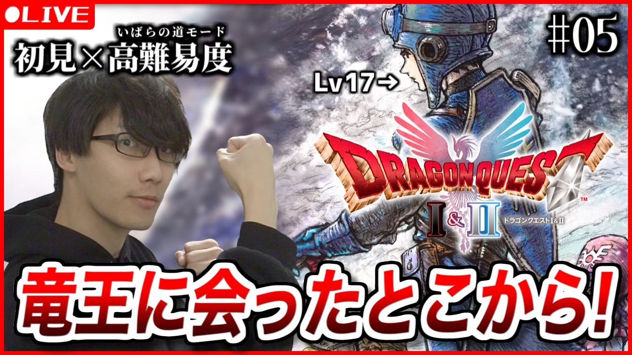 【ドラクエ1&2リメイク】初見ハードモード！竜王のひ孫に会ったとこから！(5) ※ネタバレ注意