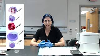 Lab 17 Tutorial