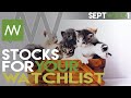 Stocks You Need to Add to Your Watch List This Week! Sept Week 1