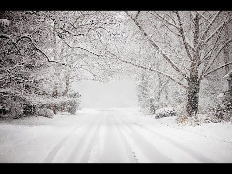 Still Come Home - Dry Goods