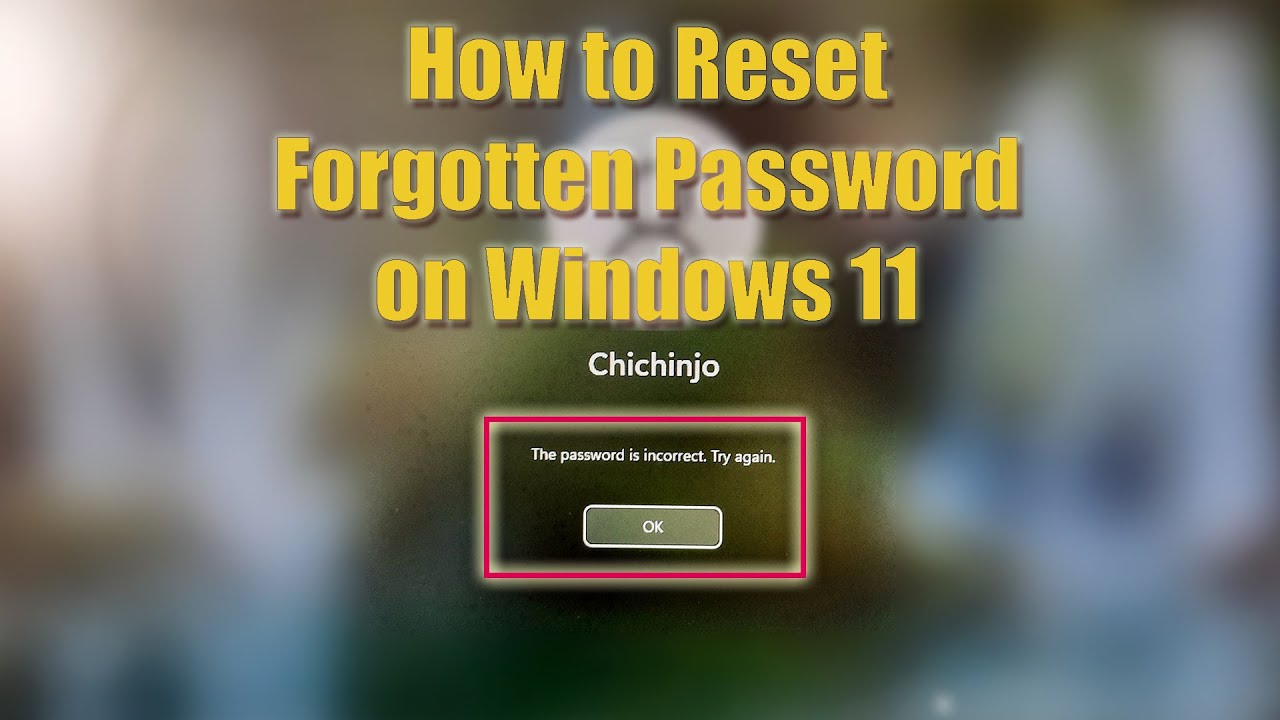 Password 11