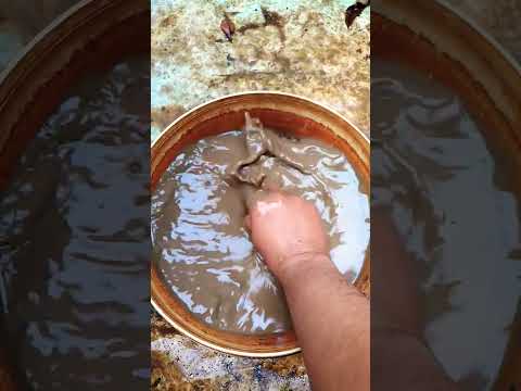 Just Disappear Shorts Feedshorts Subscribe