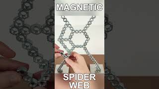 Magnetic Spider WEB