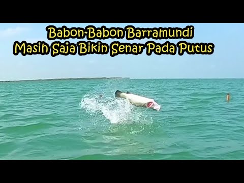 Babonnya... ‼️‼️ Meronta-ronta,