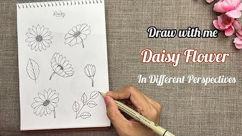 How to Draw Daisies in different Perspectives | Draw With Me | Flowers Made Easy