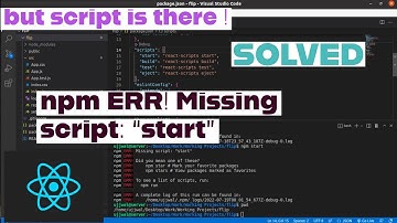 npm ERR! Missing script : "start" | but start script is present | SOLVED in React