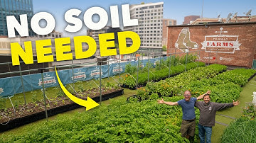 How He Grows 3 Tonnes of Food in Milk Crates (Rooftop Garden!)