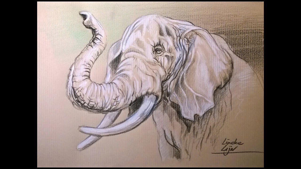 Ongebruikt OLIFANT tekenen Pastel potlood tekening - YouTube ZJ-29