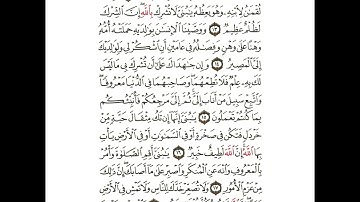 سورة لقمان من ١٢ إلى ١٩ مكررة
