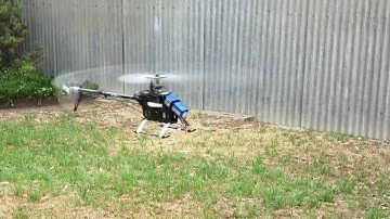 Trex 550E DFC maiden hover