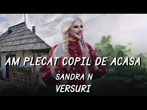 Sandra N -