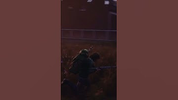 Ferals DO NOT CARE what you